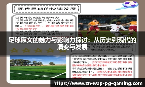 pg模拟器